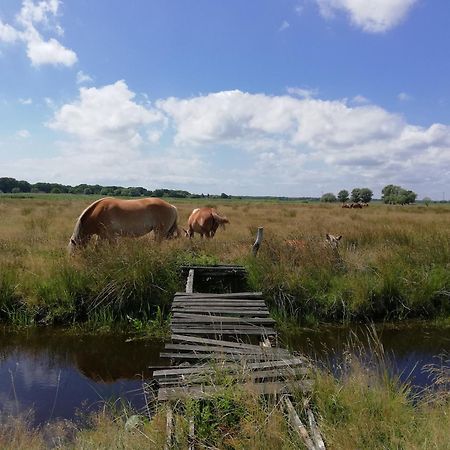 Świnoujście Dom Goscinny Ptaszarnia - Natura-Free Parking מראה חיצוני תמונה