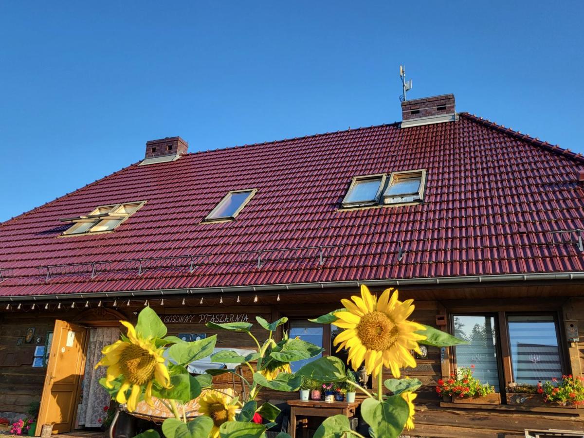 Świnoujście Dom Goscinny Ptaszarnia - Natura-Free Parking מראה חיצוני תמונה