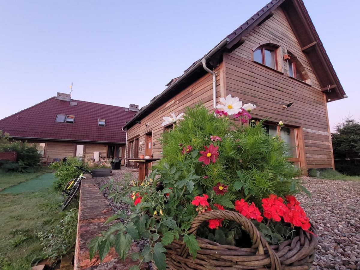 Świnoujście Dom Goscinny Ptaszarnia - Natura-Free Parking מראה חיצוני תמונה
