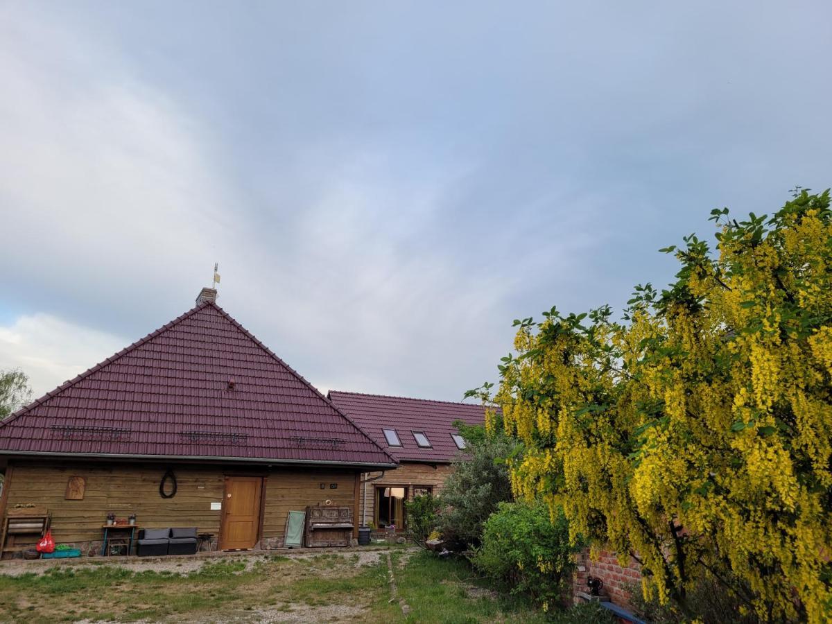 Świnoujście Dom Goscinny Ptaszarnia - Natura-Free Parking מראה חיצוני תמונה