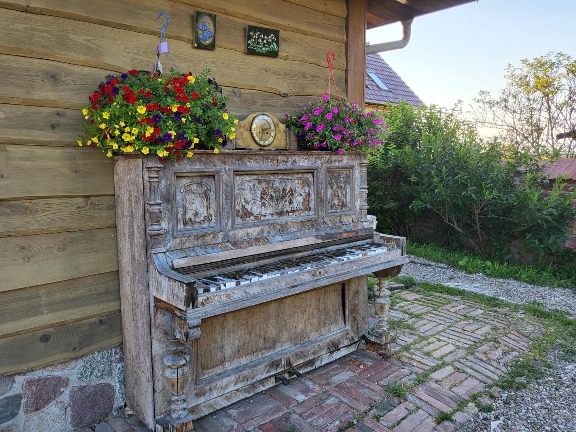 Świnoujście Dom Goscinny Ptaszarnia - Natura-Free Parking מראה חיצוני תמונה