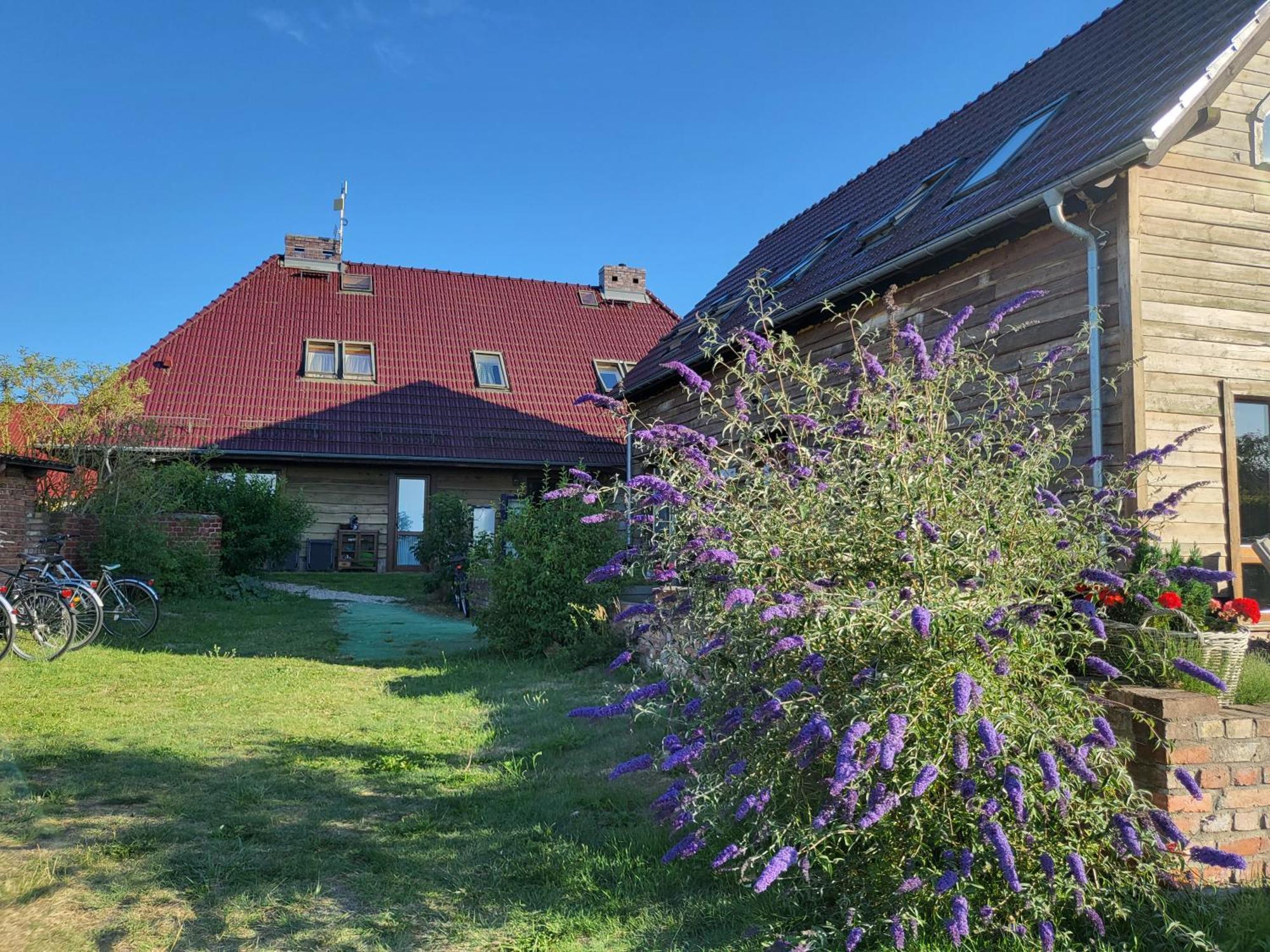 Świnoujście Dom Goscinny Ptaszarnia - Natura-Free Parking מראה חיצוני תמונה
