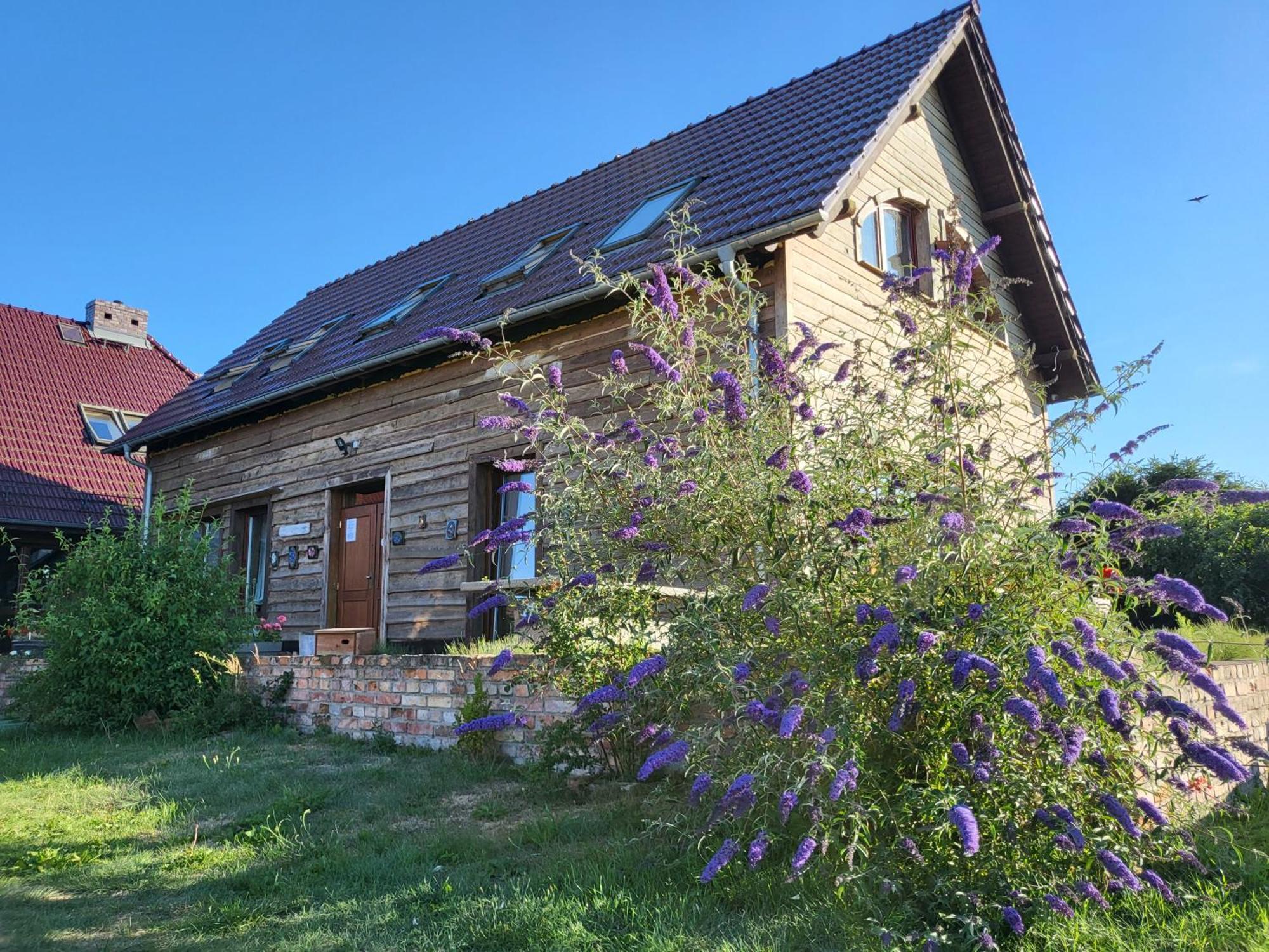 Świnoujście Dom Goscinny Ptaszarnia - Natura-Free Parking מראה חיצוני תמונה