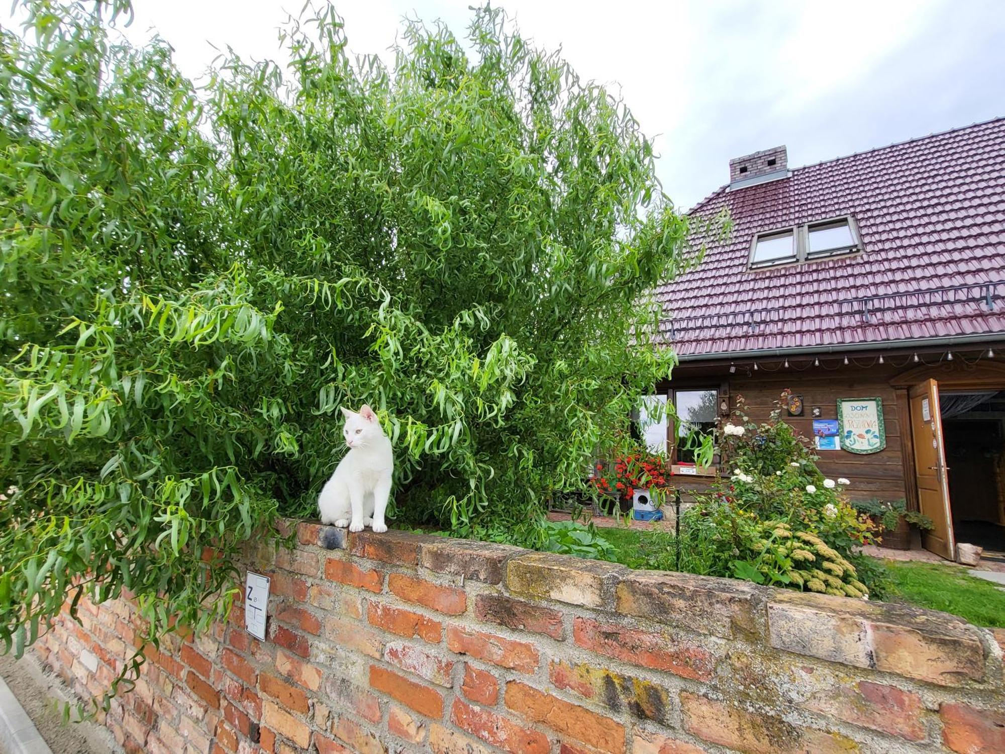 Świnoujście Dom Goscinny Ptaszarnia - Natura-Free Parking מראה חיצוני תמונה